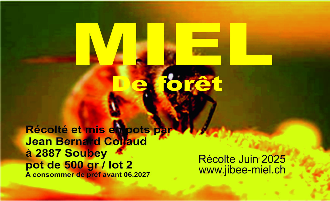 Pot de miel de forêt