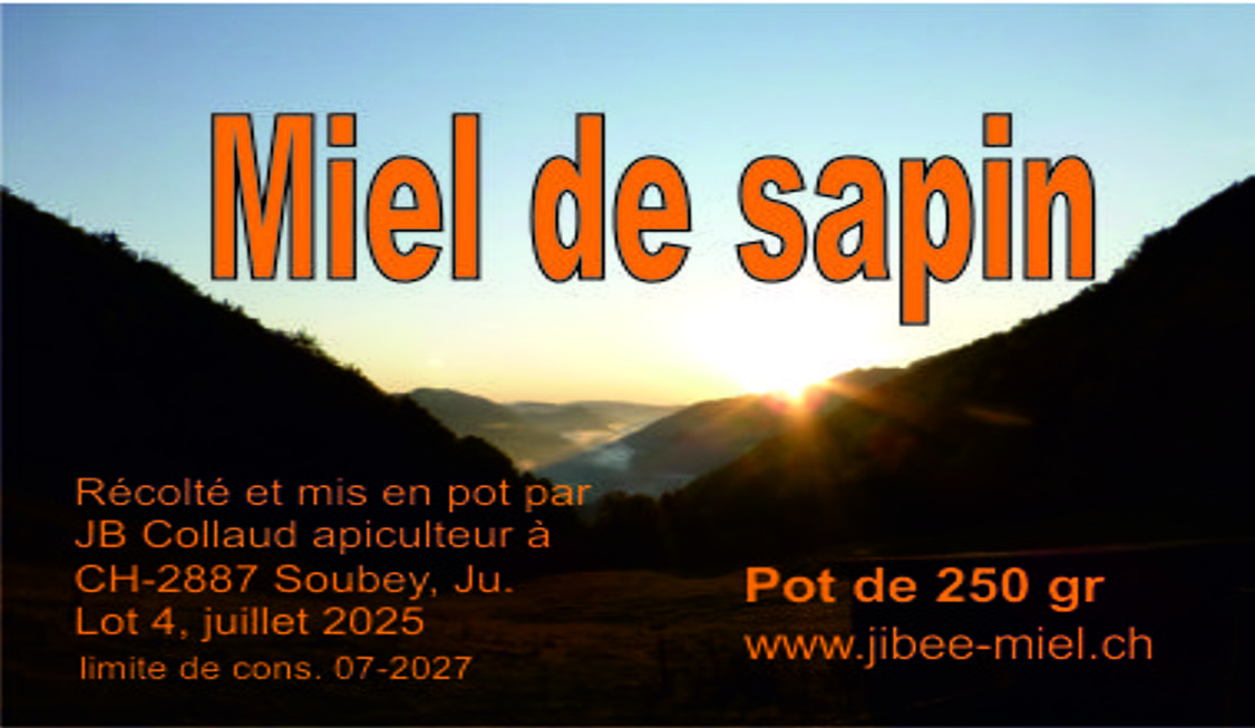 Pot de miel de sapin